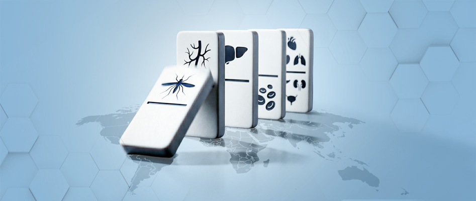 S�n�r Tan�mayan Bir Tehdit: S�tma ile M�cadele